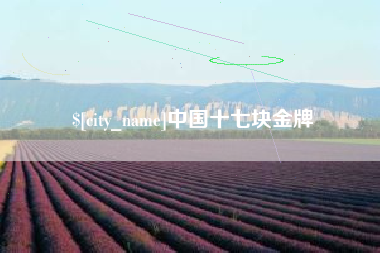 扬州中国十七块金牌