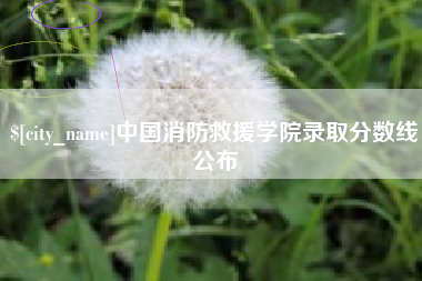 扬州中国消防救援学院录取分数线公布