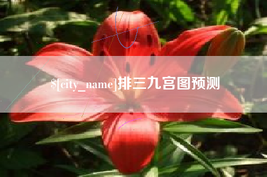 扬州排三九宫图预测