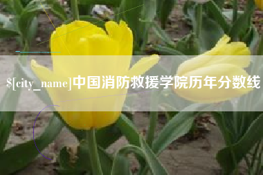 扬州中国消防救援学院历年分数线
