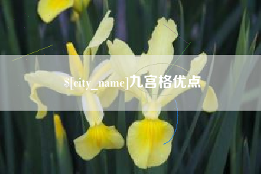 扬州九宫格优点