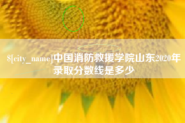 扬州中国消防救援学院山东2020年录取分数线是多少
