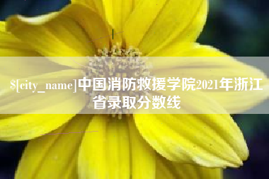 扬州中国消防救援学院2021年浙江省录取分数线
