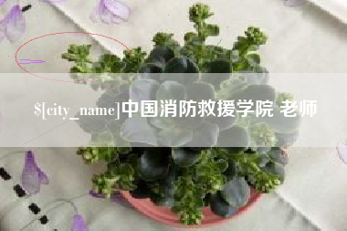 扬州中国消防救援学院 老师