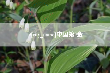 扬州中国第9金