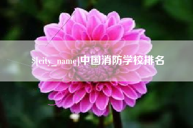 扬州中国消防学校排名