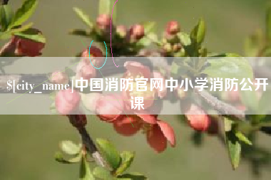 扬州中国消防官网中小学消防公开课