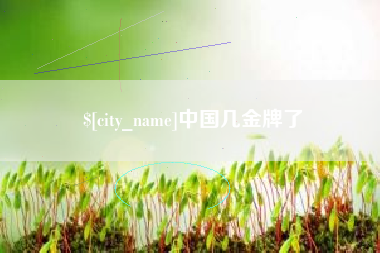 扬州中国几金牌了