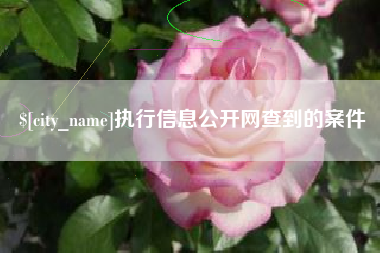 扬州执行信息公开网查到的案件