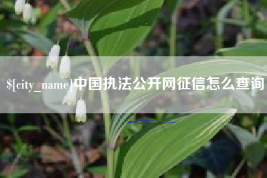 扬州中国执法公开网征信怎么查询
