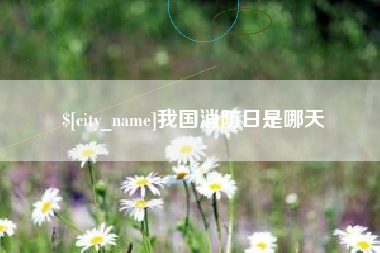 扬州我国消防日是哪天
