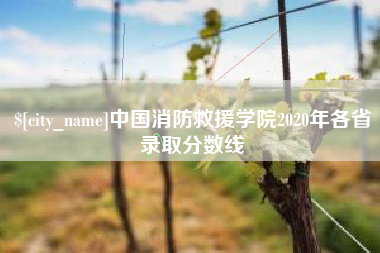 扬州中国消防救援学院2020年各省录取分数线