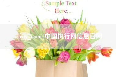 扬州中国执行网信息官网