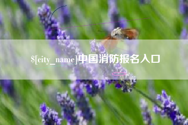 扬州中国消防报名入口