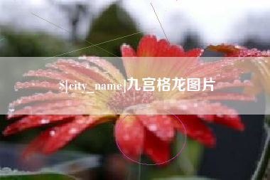 扬州九宫格龙图片