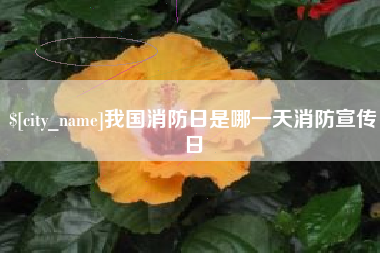 扬州我国消防日是哪一天消防宣传日