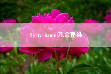 扬州九金是谁