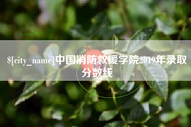 扬州中国消防救援学院2019年录取分数线
