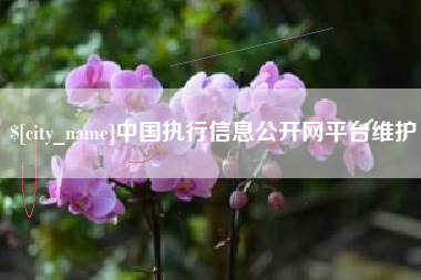 扬州中国执行信息公开网平台维护