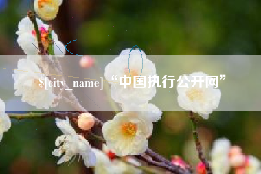扬州“中国执行公开网”