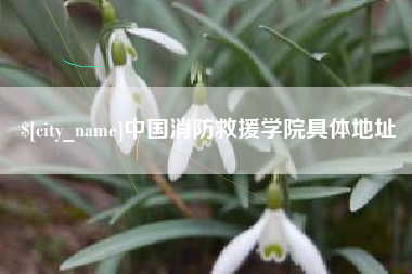 扬州中国消防救援学院具体地址