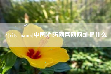 扬州中国消防网官网网址是什么