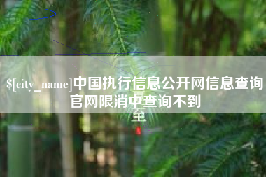 扬州中国执行信息公开网信息查询官网限消中查询不到