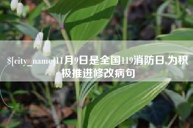 扬州11月9日是全国119消防日,为积极推进修改病句