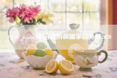 扬州中国消防救援学院分数2020