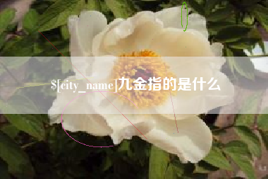扬州九金指的是什么