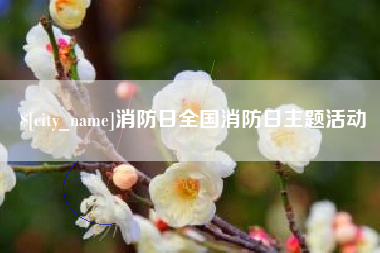 扬州消防日全国消防日主题活动