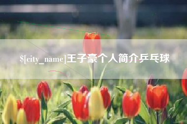 扬州王子豪个人简介乒乓球