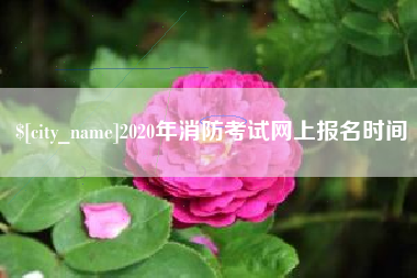 扬州2020年消防考试网上报名时间