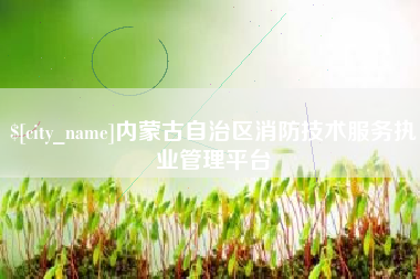 扬州内蒙古自治区消防技术服务执业管理平台
