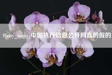扬州中国执行信息公开网真的假的