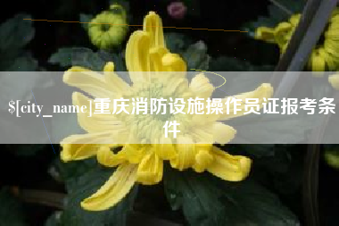 扬州重庆消防设施操作员证报考条件