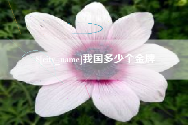 扬州我国多少个金牌
