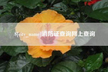 扬州消防证查询网上查询