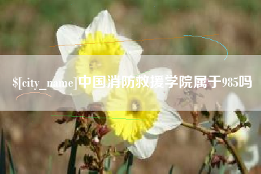 扬州中国消防救援学院属于985吗