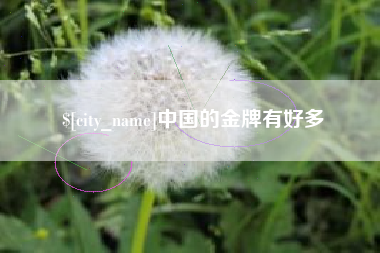 扬州中国的金牌有好多