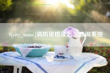 扬州消防资格证怎么查询系统
