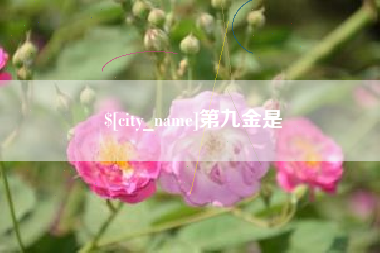 扬州第九金是