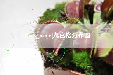 扬州九宫格分布图