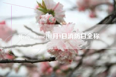 扬州11月9日消防日全称