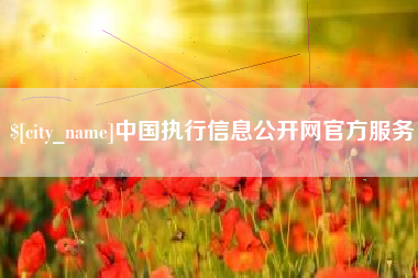 扬州中国执行信息公开网官方服务