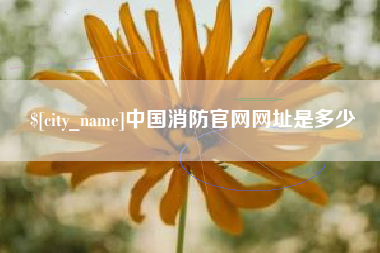 扬州中国消防官网网址是多少