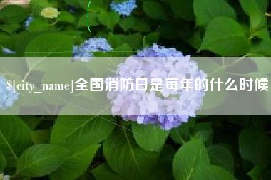 扬州全国消防日是每年的什么时候
