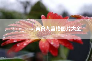 扬州美食九宫格图片大全
