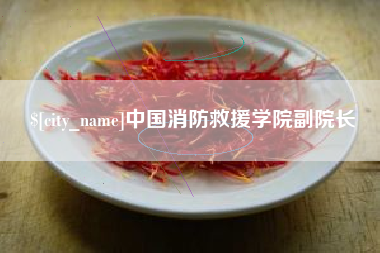 扬州中国消防救援学院副院长