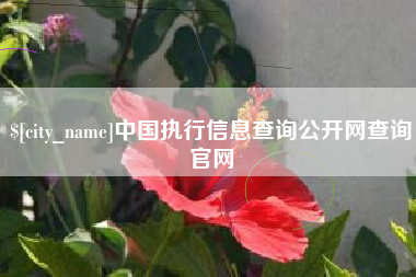 扬州中国执行信息查询公开网查询官网